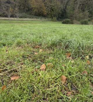  Terrain � vendre 930 m�