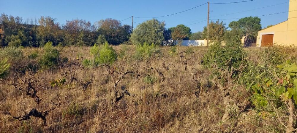 vente Maison - 6 pièce(s) - 109 m² Argens-Minervois (11200)