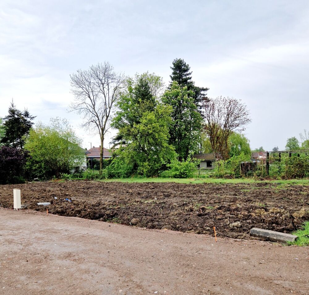 vente Terrain - 501 m² Bailleul (59270)
