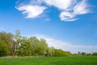  Terrain � vendre 800 m�