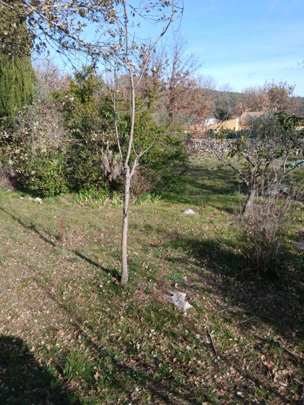vente Terrain - 857 m² Garéoult (83136)