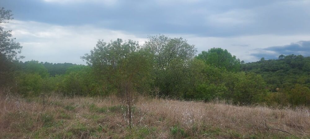 vente Terrain - 620 m² Camps-la-Source (83170)