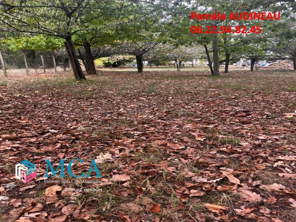 vente Terrain - 1375 m² Daignac (33420)