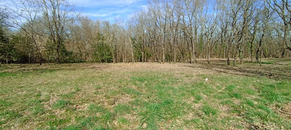 Maison T5 (113 m²) à vendre à Montaigut-sur-Save MAI....