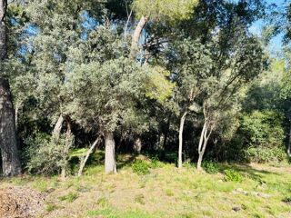  Terrain � vendre 769 m�