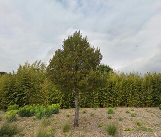  Terrain 430 m� Fos-sur-mer