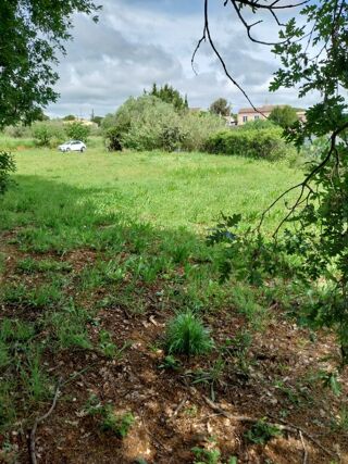  Maison 5 pi�ces 110 m� Puget-sur-argens