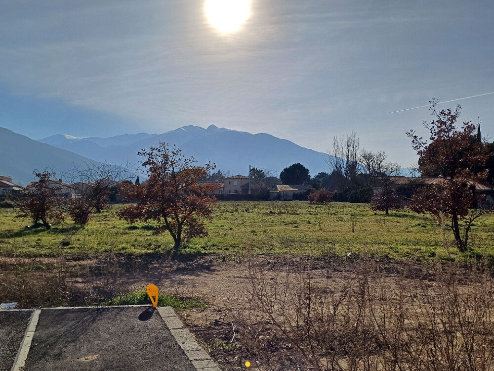 vente Maison - 6 pièce(s) - 113 m² Vinça (66320)