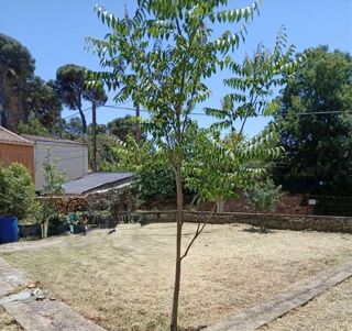  Terrain � vendre 560 m�