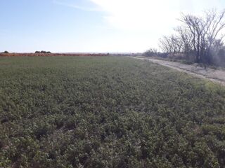  Terrain � vendre 500 m�