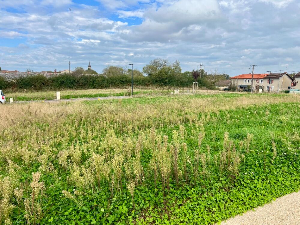 MAISON À CONSTRUIRE DE 85 M² À SAINT-PAUL-DE-VARAX, PROC....