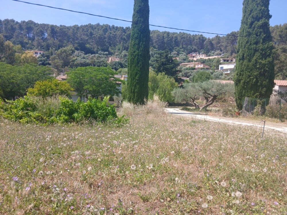 vente Terrain - 501 m² Solliès-Pont (83210)