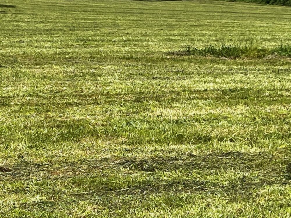 vente Maison - 5 pi�ce(s) - 130 m� Pisany (17600)