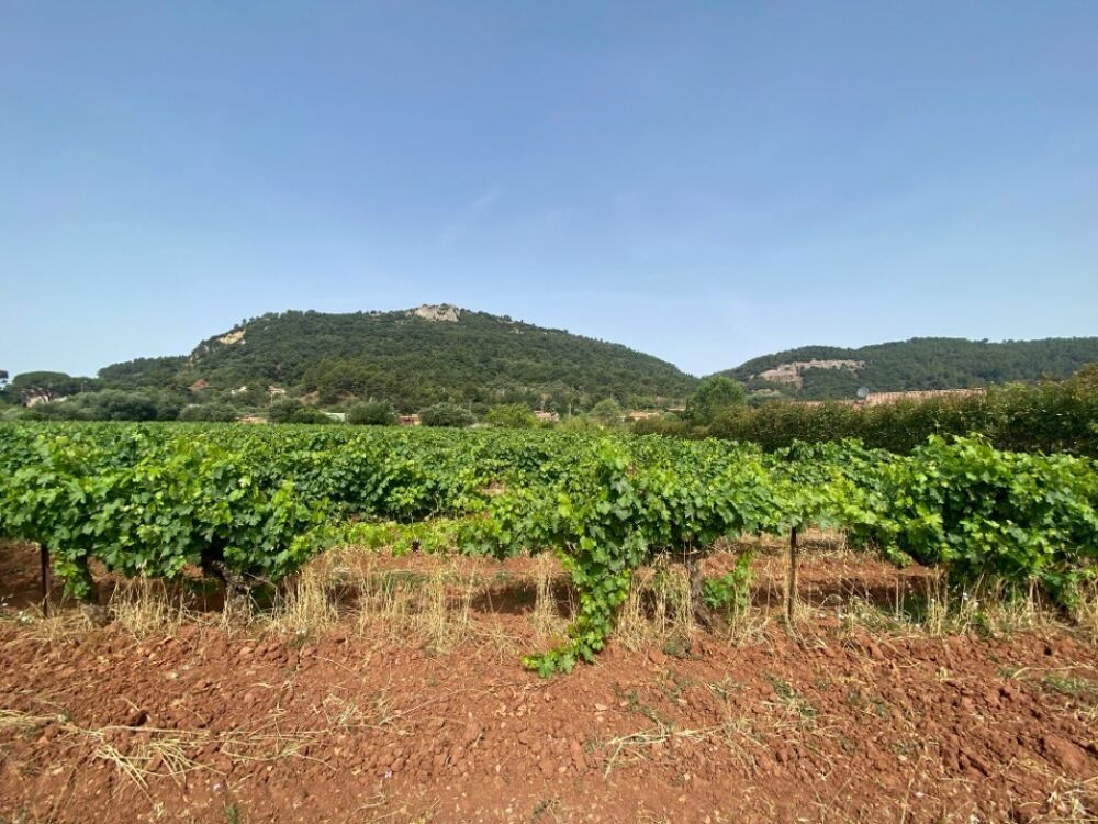 vente Maison - 3 pièce(s) - 60 m² Gonfaron (83590)
