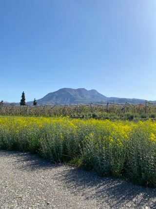  Terrain � vendre 766 m�