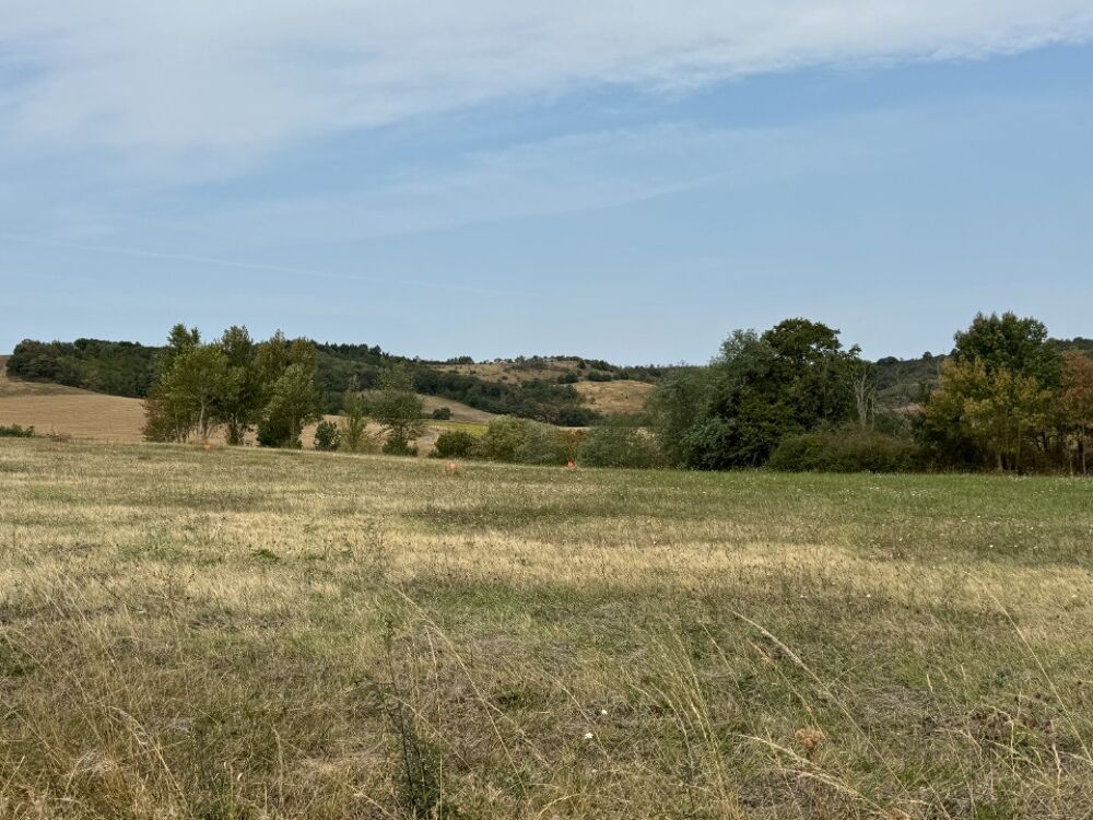 Découvrez le modèle Croix du sud, une maison au design u....