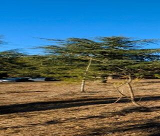  Maison 6 pi�ces 125 m� Villani�re