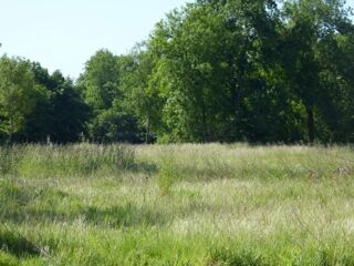  Terrain à vendre 1266 m²