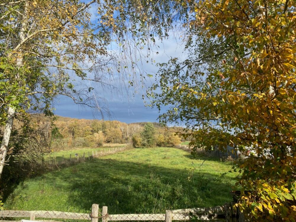vente Terrain - 2071 m² Oursbelille (65490)