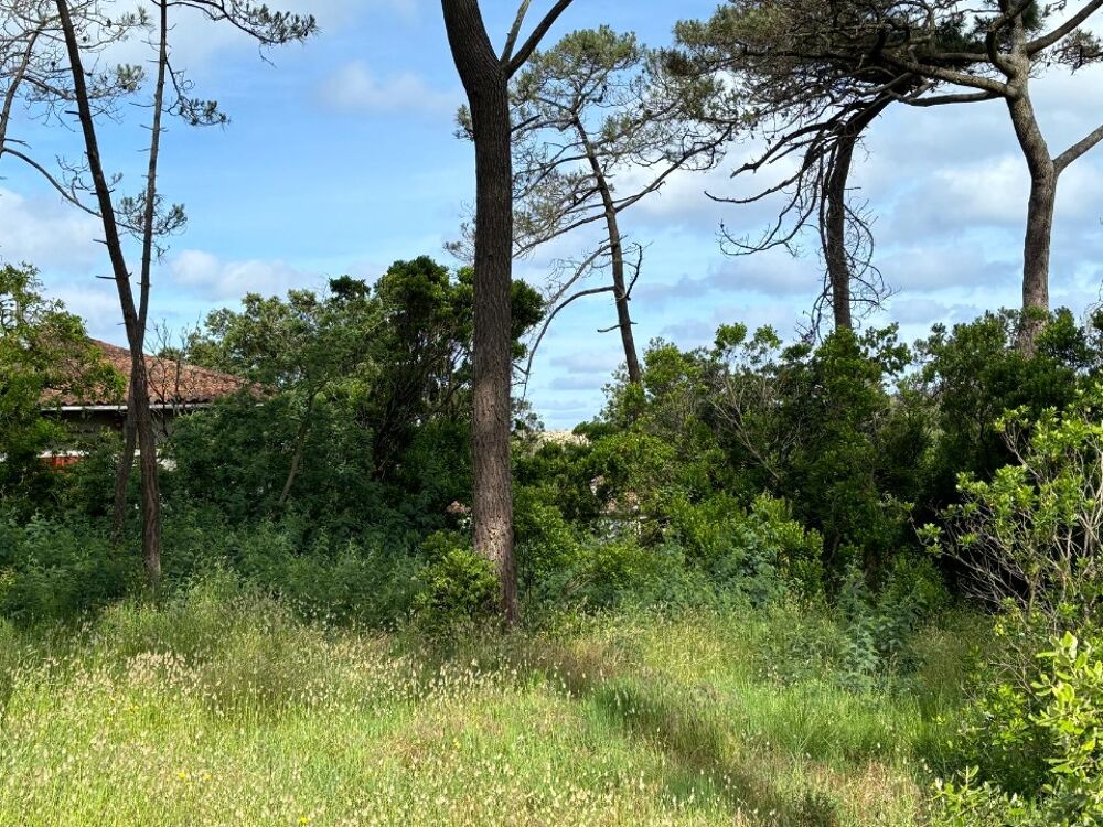 vente Terrain - 700 m² Andernos-les-Bains (33510)