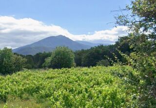 vente Terrain - 294 m² Saint-Jean-Pla-de-Corts (66490)