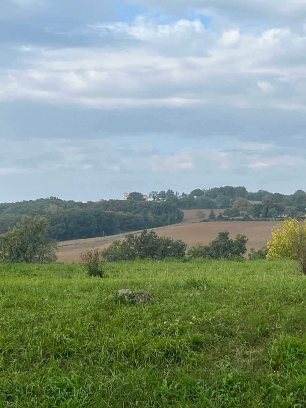 vente Maison - 6 pièce(s) - 186 m² Cadalen (81600)