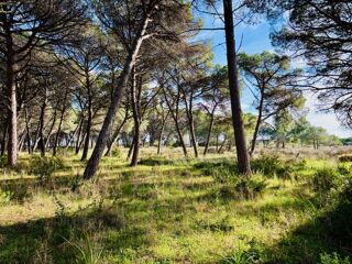  Terrain � vendre 550 m�