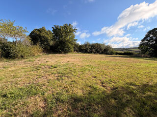  Terrain à vendre 1195 m²
