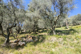  Maison 5 pi�ces 110 m� Saint-martin-du-var