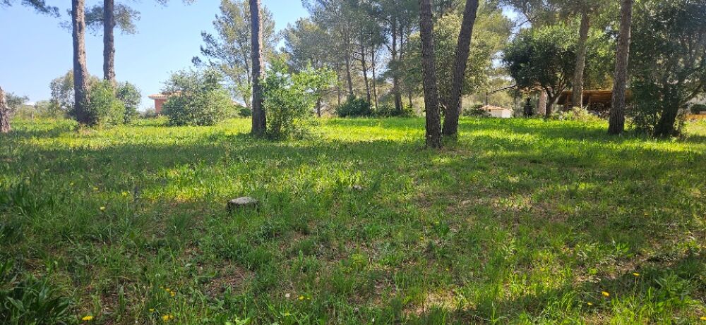 vente Terrain - 1500 m² Saint-Raphaël (83700)