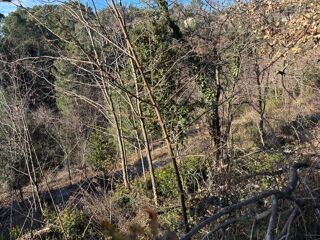  Terrain 4000 m� Joyeuse