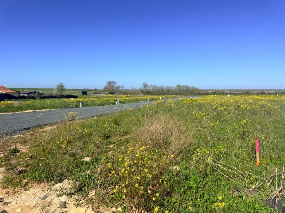 vente Maison - 4 pièce(s) - 83 m² Auzay (85200)