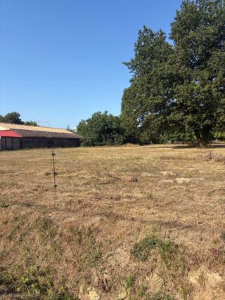  Terrain à vendre 800 m²
