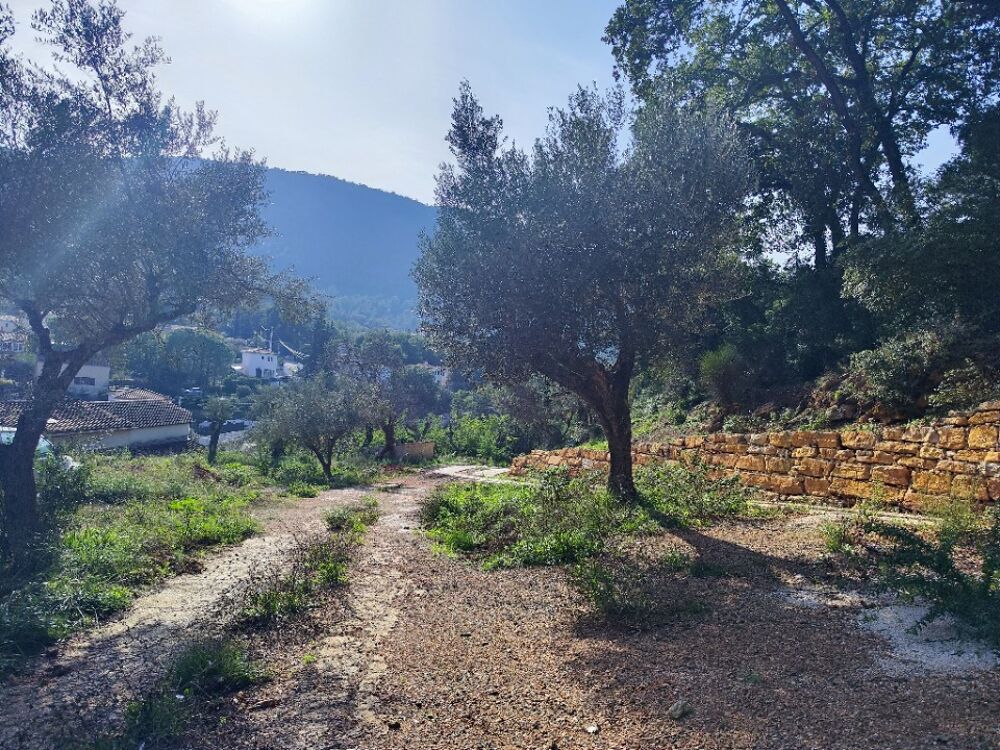 vente Terrain - 1920 m² Solliès-Toucas (83210)