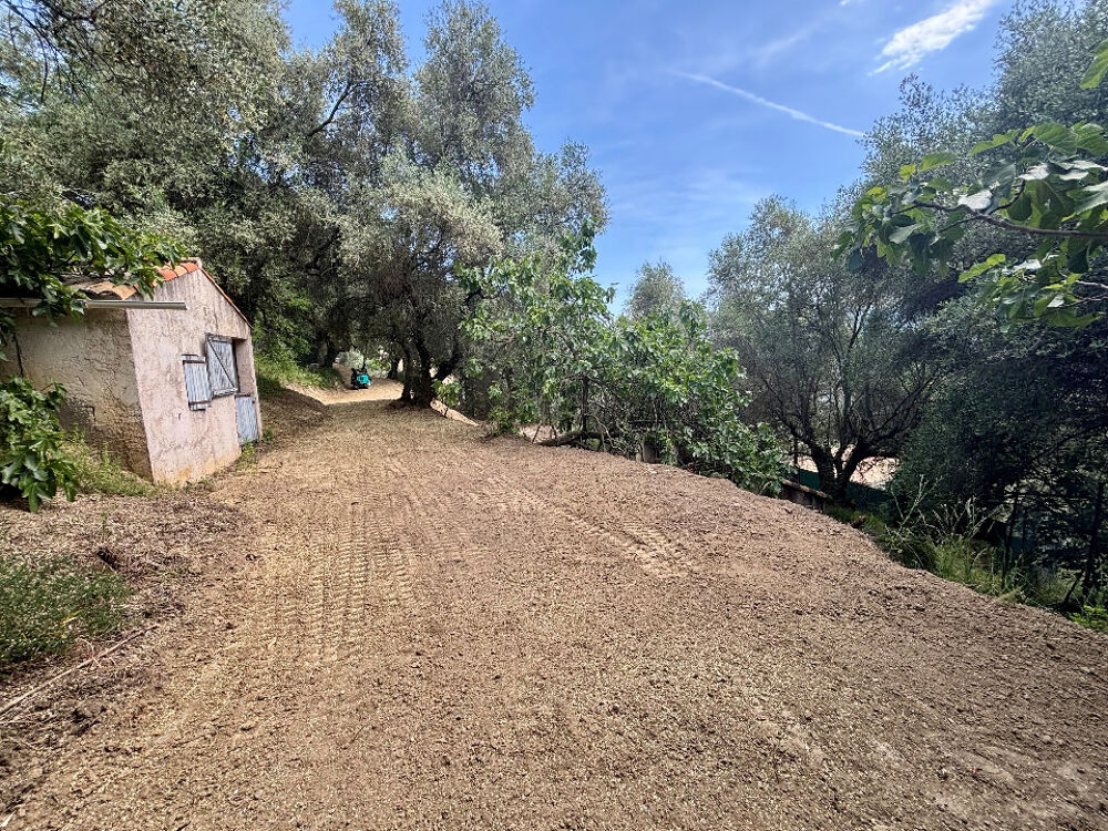 vente Terrain - 2385 m² Contes (06390)