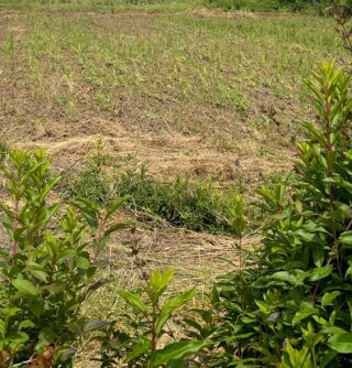  Maison � vendre 6 pi�ces 108 m�