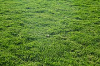  Terrain � vendre 301 m�