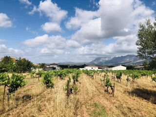  Terrain � vendre 501 m�