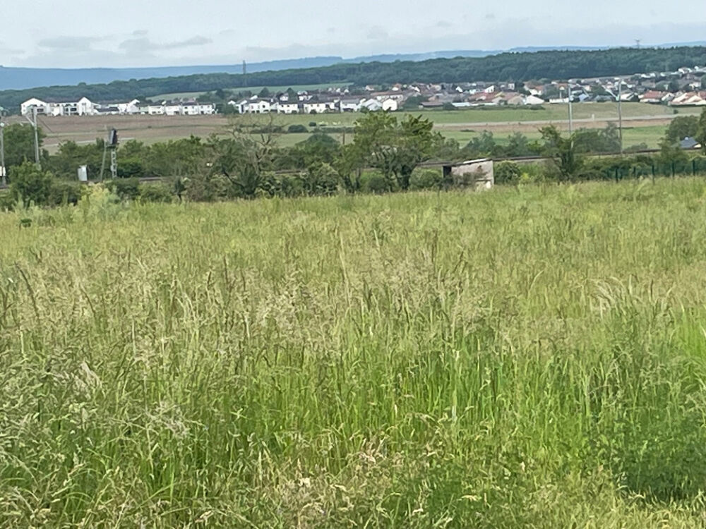 vente Terrain - 408 m² Distroff (57925)