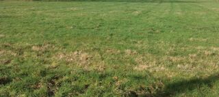  Terrain � vendre 990 m�