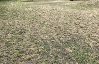  Terrain � vendre 333 m�