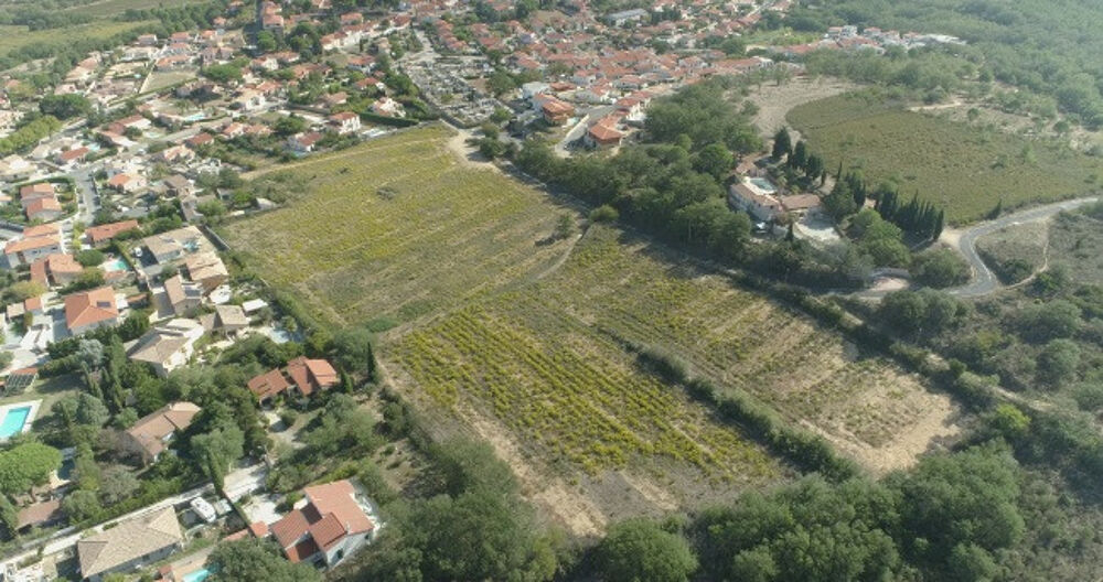 vente Maison - 4 pièce(s) - 100 m² Banyuls-dels-Aspres (66300)