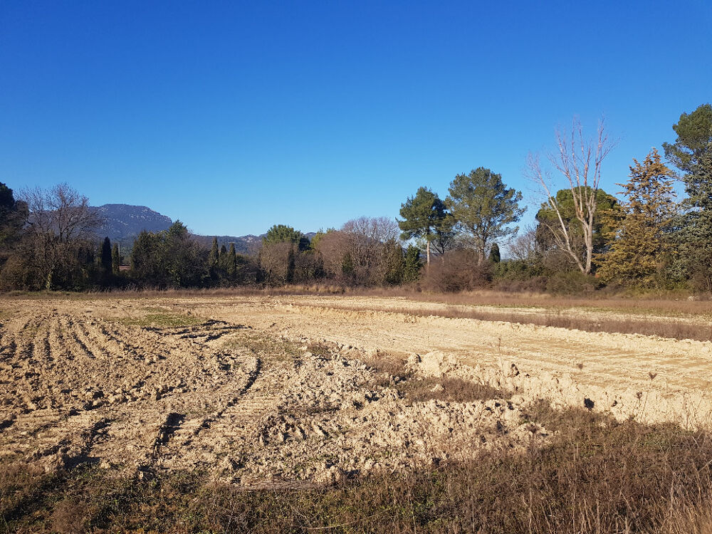 vente Terrain - 500 m Le Triadou (34270)