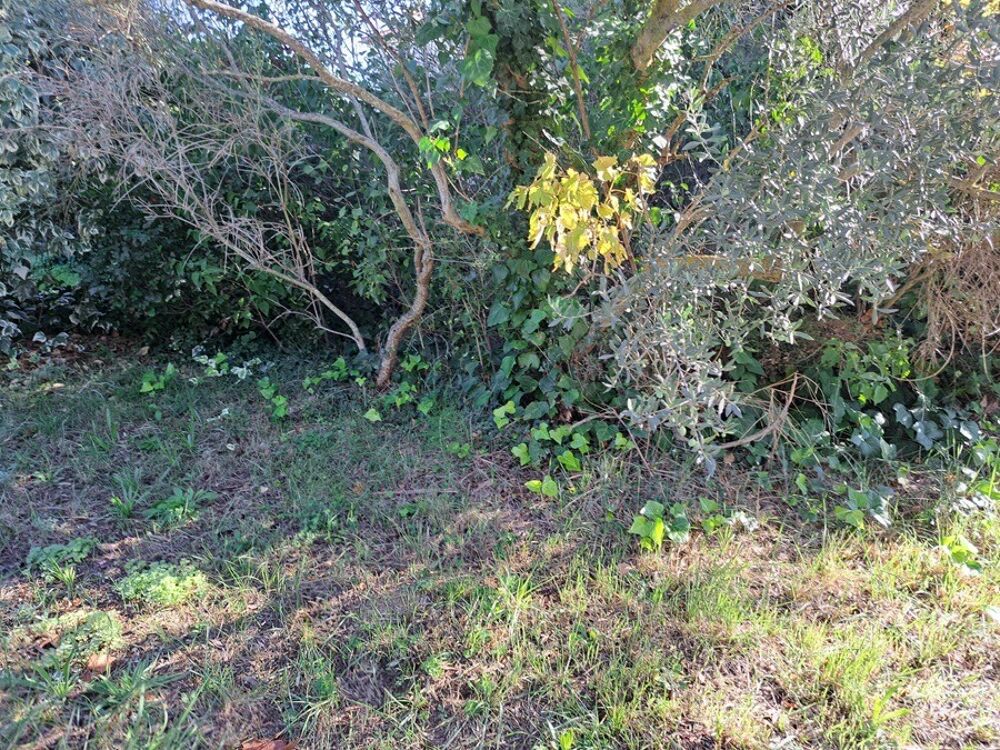 vente Terrain - 400 m² Gardanne (13120)