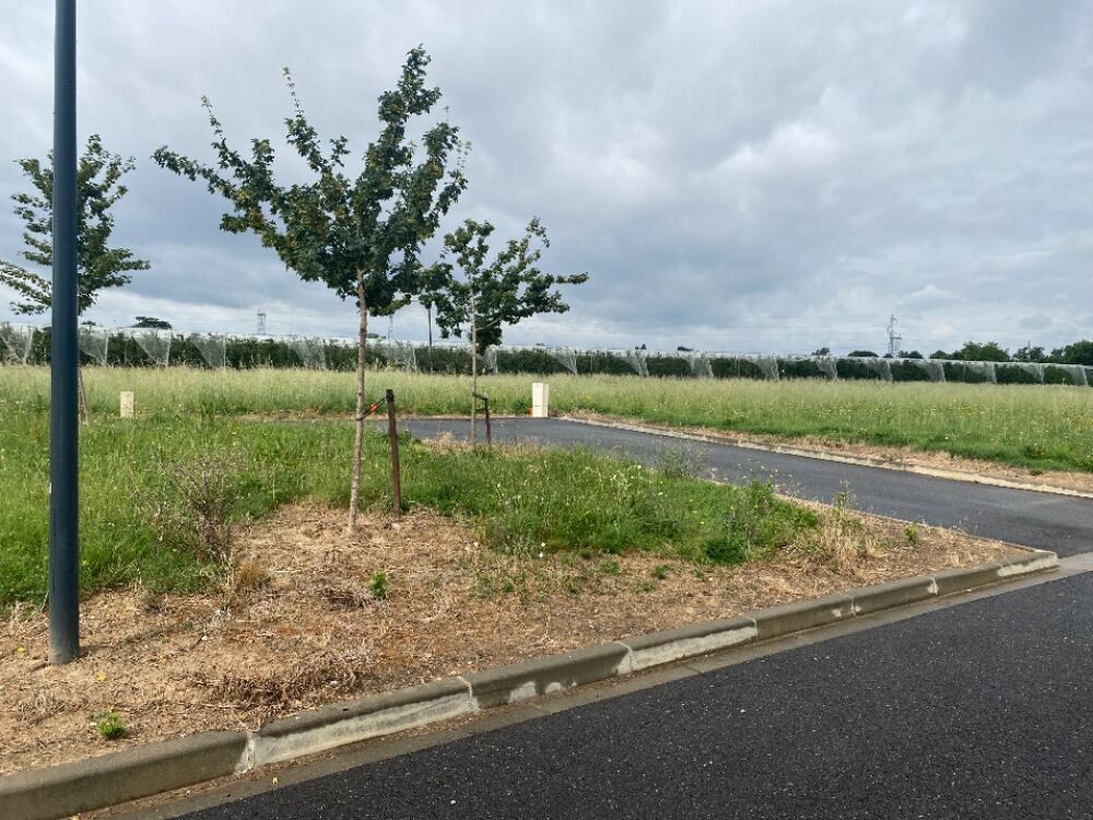 vente Terrain - 952 m² Bressols (82710)