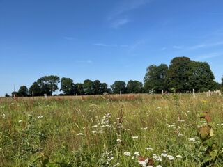  Terrain � vendre 1000 m�