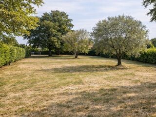  Terrain à vendre 565 m²