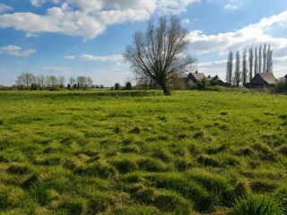  Terrain à vendre 800 m²