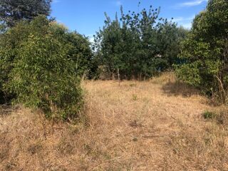  Terrain à vendre 150 m²