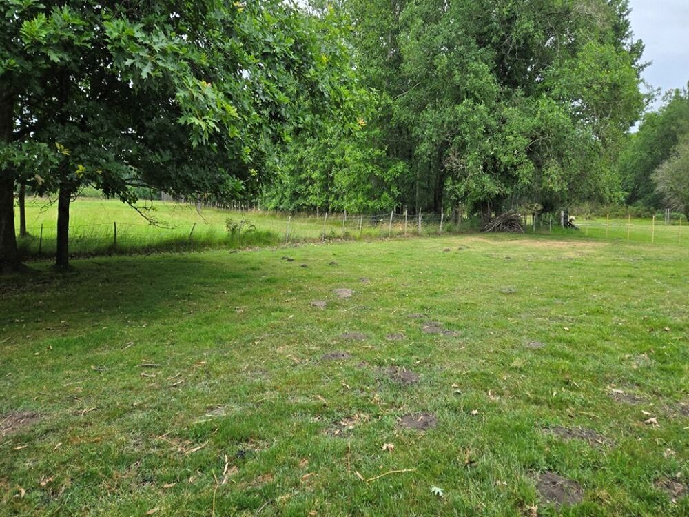vente Terrain - 770 m² Saint-Mariens (33620)